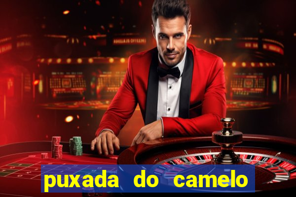 puxada do camelo jogo do bicho